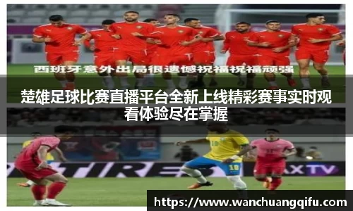 NG体育下载