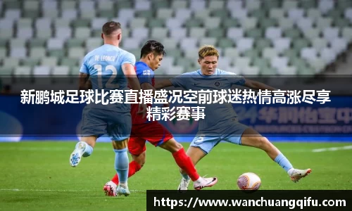 NG体育官网