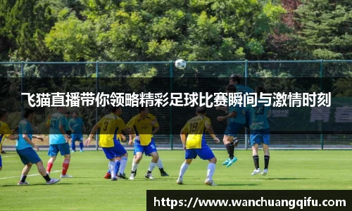 NG体育官网