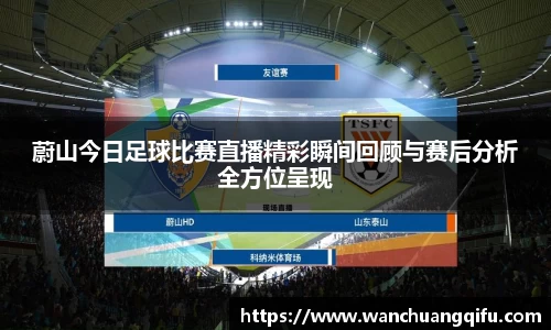 NG体育官网