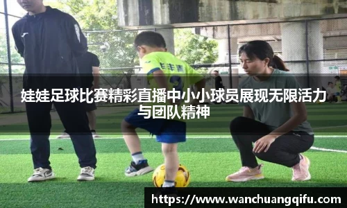NG体育网址