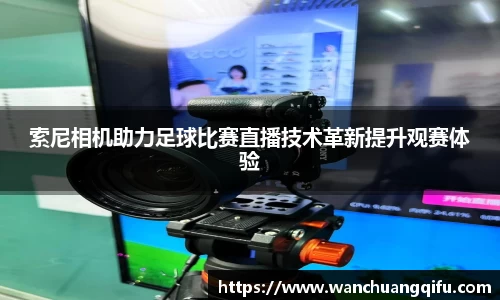 NG体育下载
